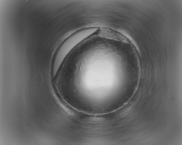 X0000070230437200606091721