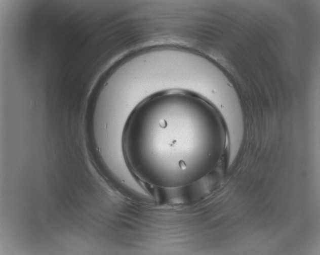 X0000070230440200606091721