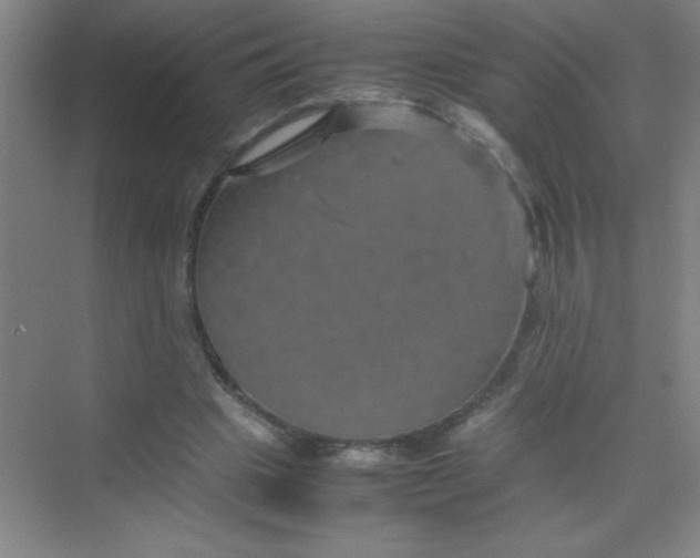 X0000070230441200606091721