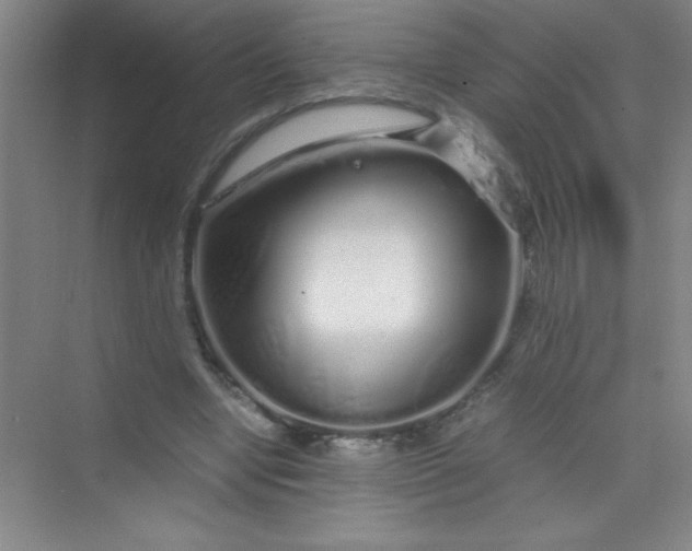 X0000070230442200606091721