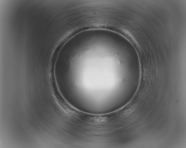 X0000070230443200606091721