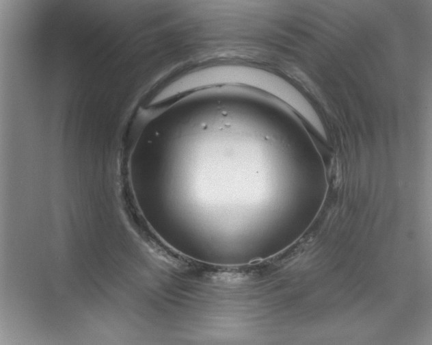 X0000070230444200606091721