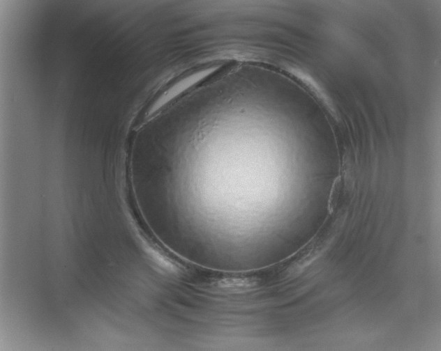 X0000070230445200606091721