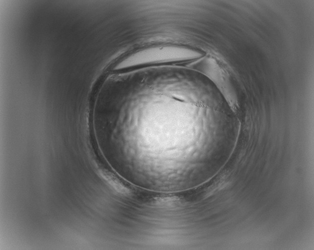 X0000070230446200606091721