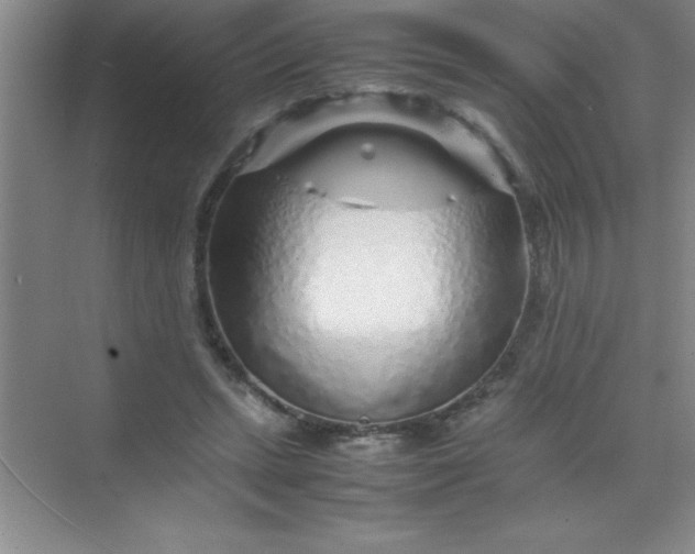 X0000070230447200606091721