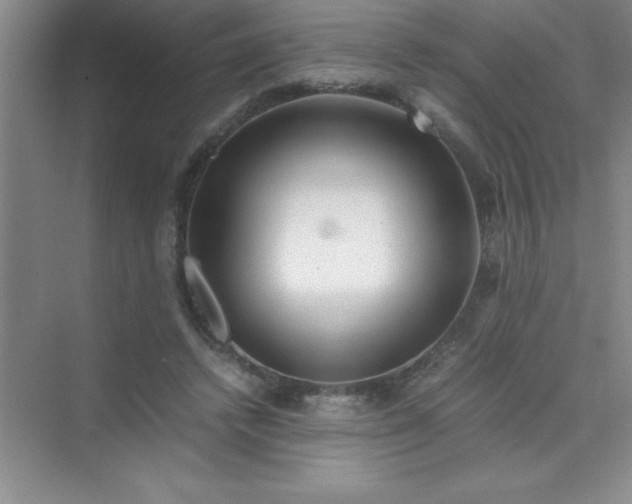 X0000070230448200606091721