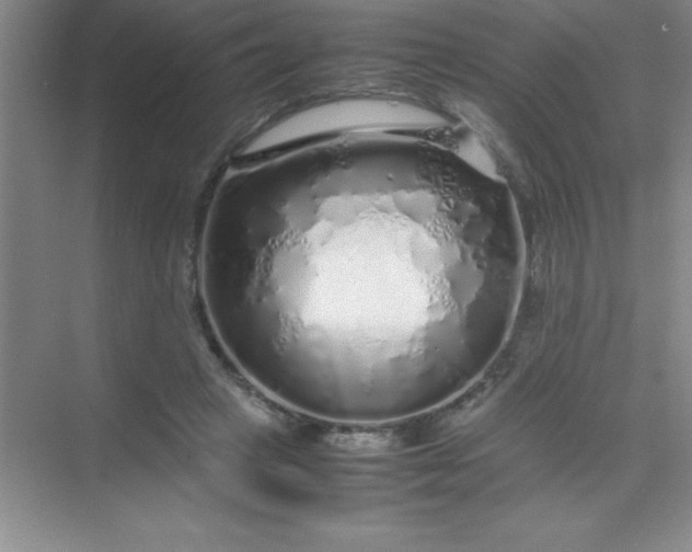 X0000070230449200606091721