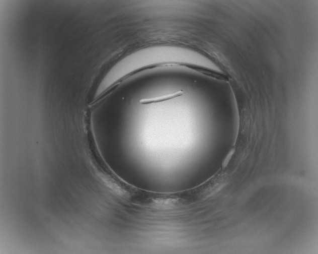 X0000070230450200606091721