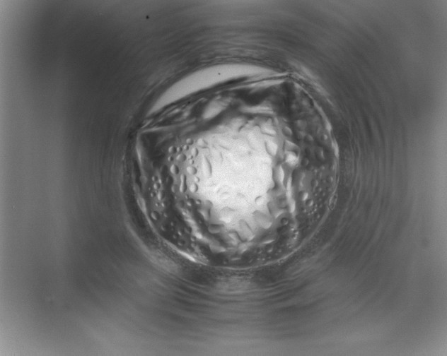 X0000070230451200606091721