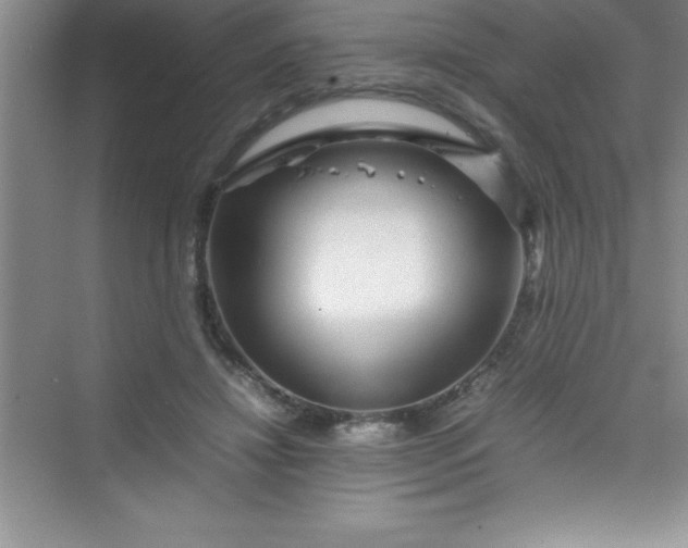 X0000070230452200606091721