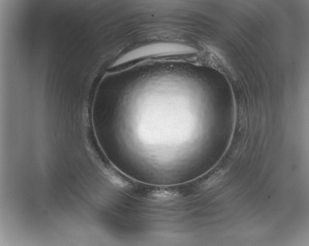 X0000070230453200606091721