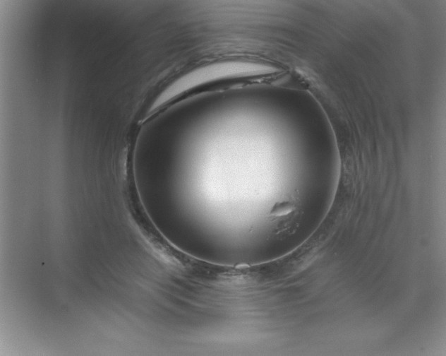 X0000070230454200606091721