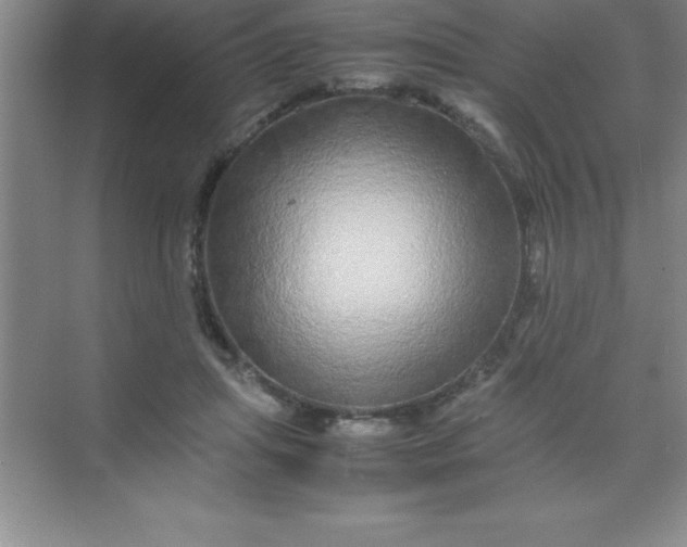 X0000070230455200606091721