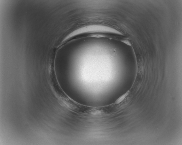 X0000070230456200606091721