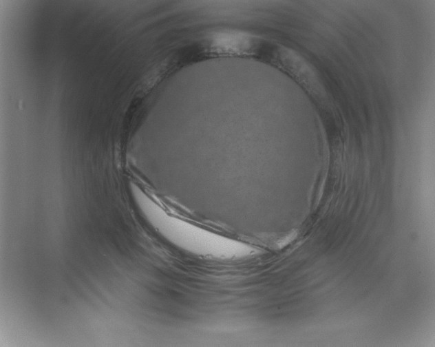 X0000070230457200606091721