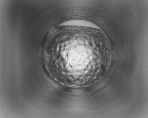 X0000070230458200606091721