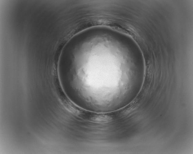 X0000070230459200606091721