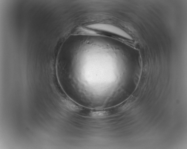 X0000070230461200606091721