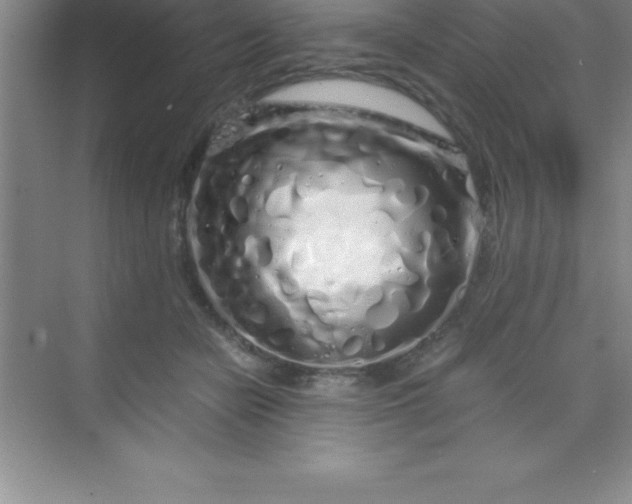 X0000070230462200606091721