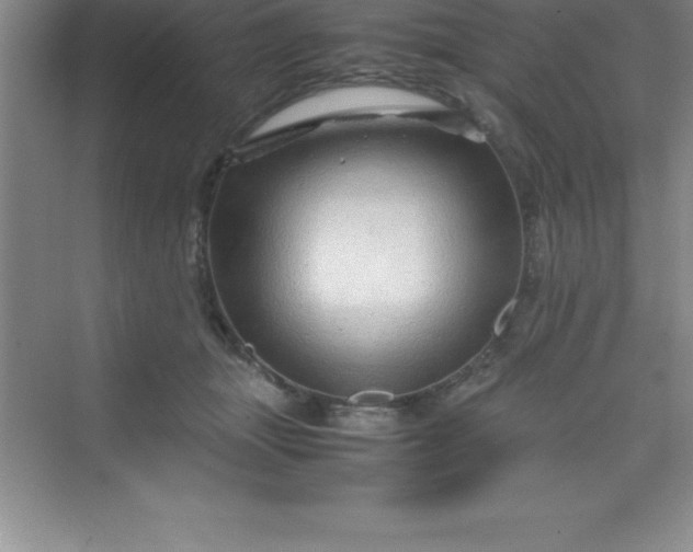 X0000070230463200606091721