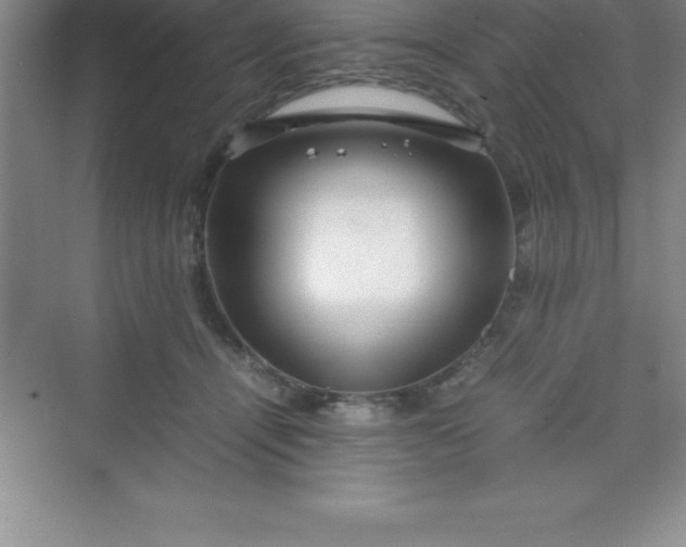 X0000070230464200606091721