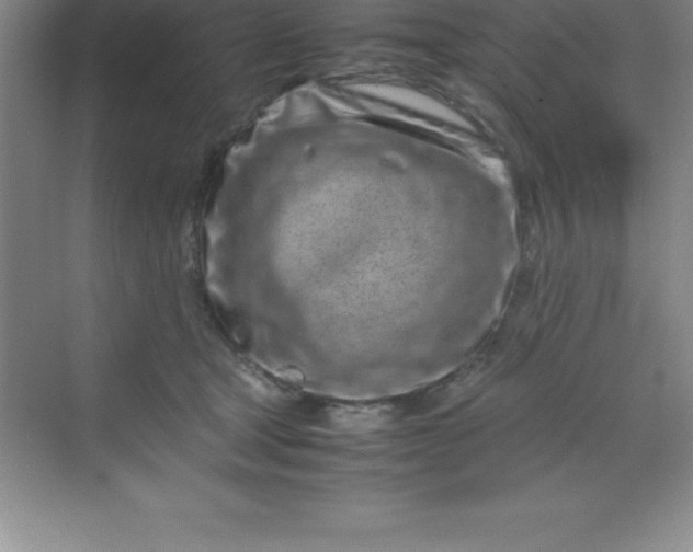 X0000070230465200606091721