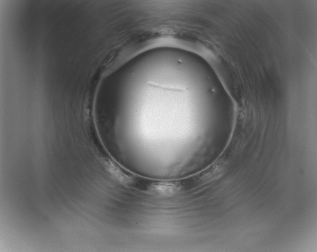 X0000070230466200606091721