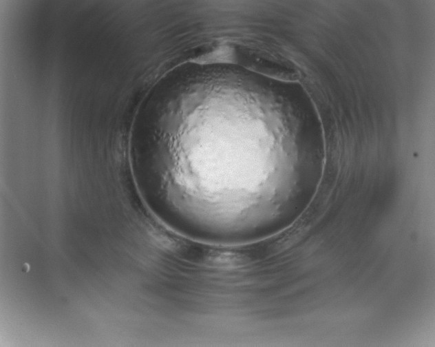 X0000070230467200606091721