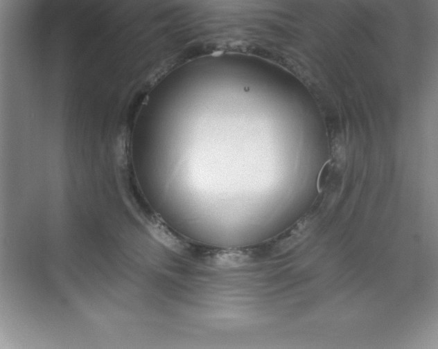 X0000070230468200606091722