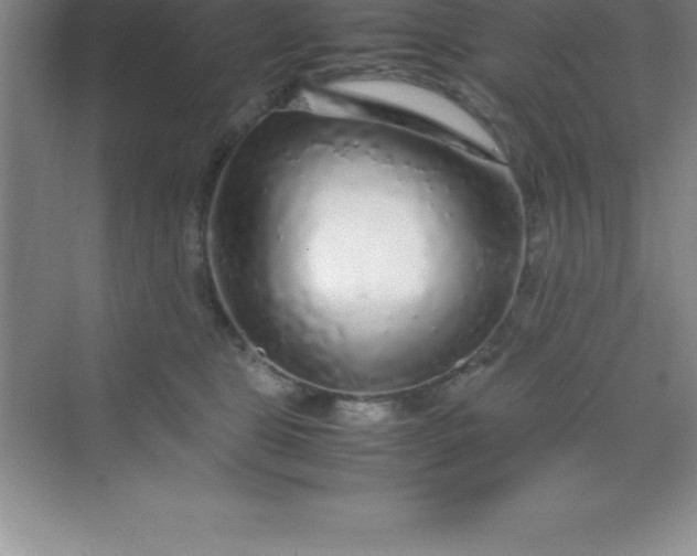 X0000070230469200606091722