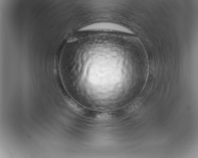 X0000070230470200606091722