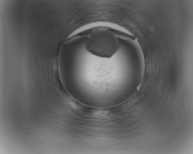 X0000070230471200606091722