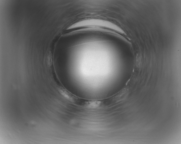 X0000070230474200606091722