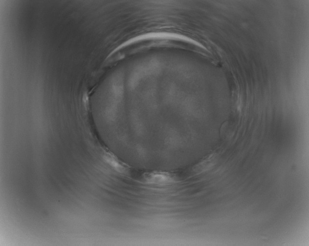 X0000070230475200606091722