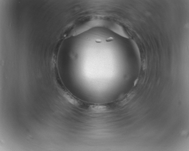 X0000070230476200606091722