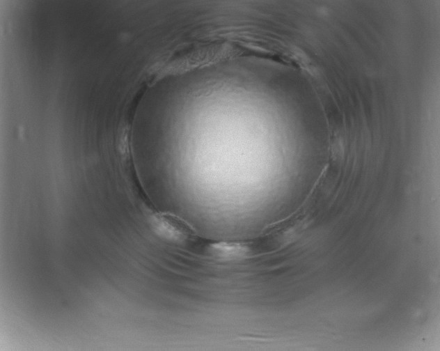 X0000070230477200606091722