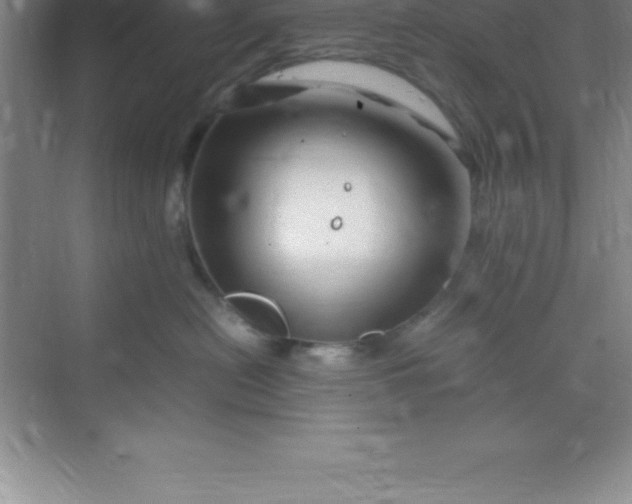 X0000070230478200606091722