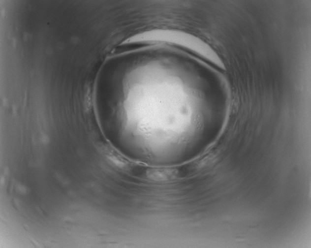 X0000070230479200606091722