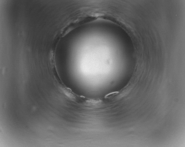 X0000070230480200606091722