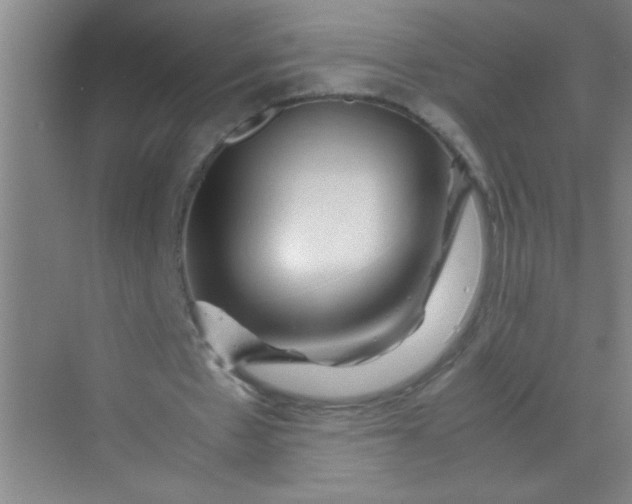 X0000070230481200606091721