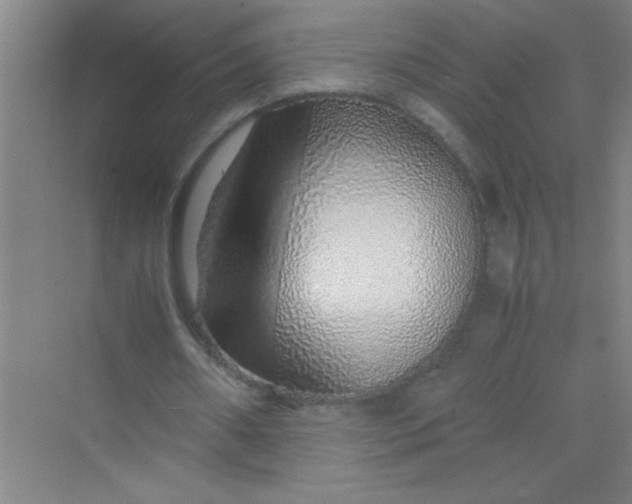 X0000070230482200606091721