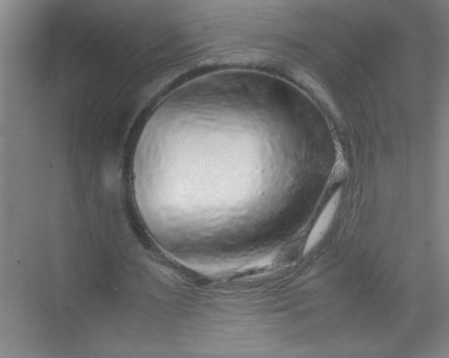 X0000070230483200606091721