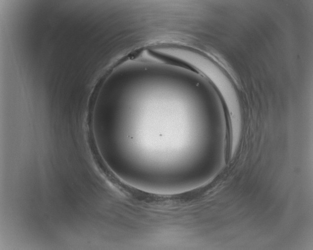 X0000070230485200606091721