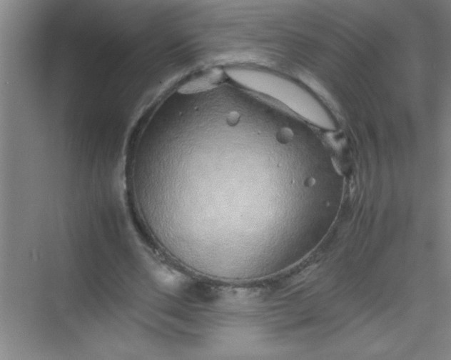 X0000070230486200606091721