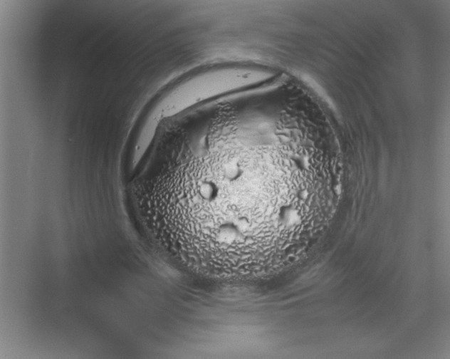 X0000070230487200606091721