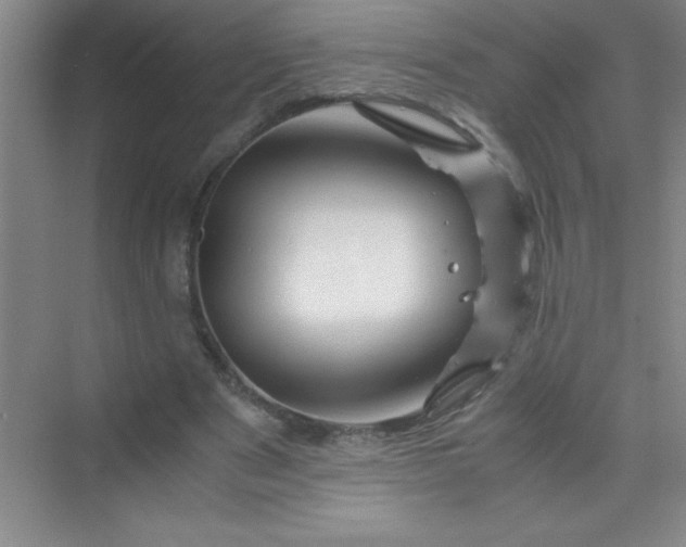 X0000070230489200606091721