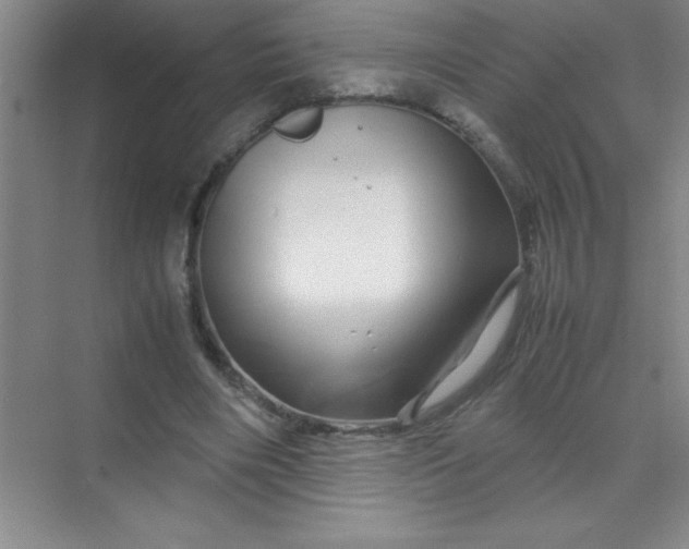 X0000070230490200606091721