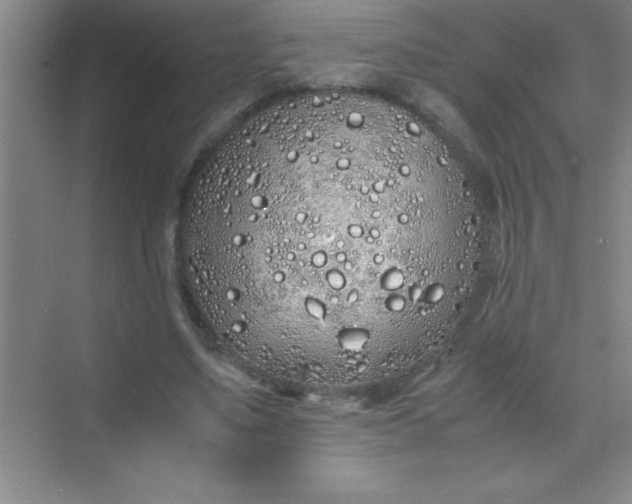 X0000070230491200606091721