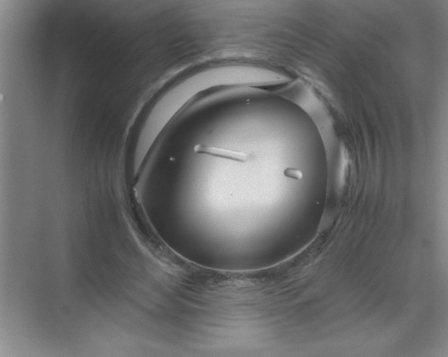 X0000070230492200606091721