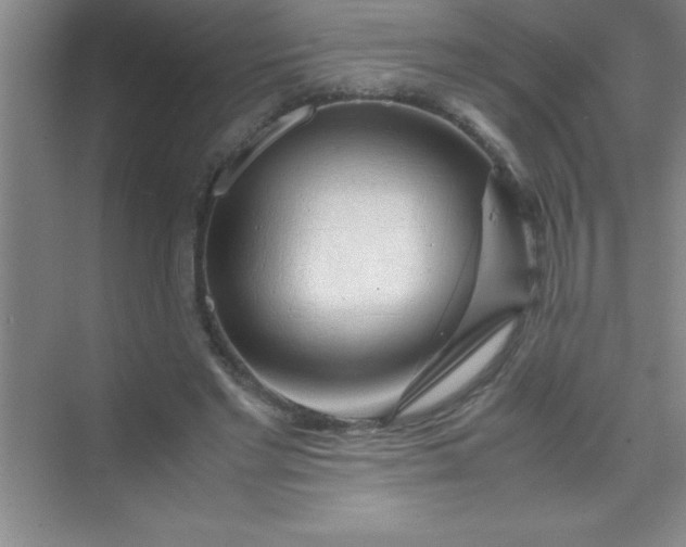 X0000070230493200606091721